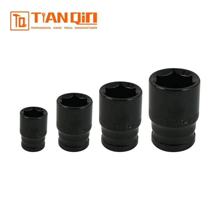 73113-1/2'' Short Socket (electrophoresis) suppliers